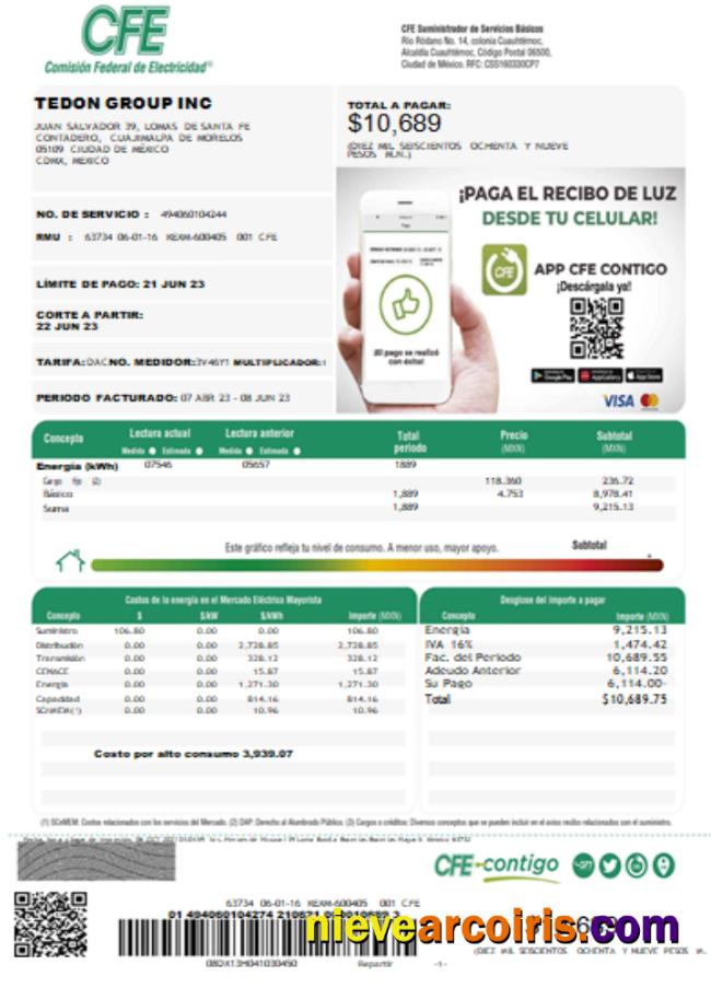 Federal Electricity Commission (CFE) utility bill page 1